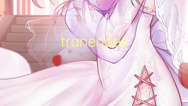 tranendes herz是什么意思 tranendes herz的中文翻译、读音、例句