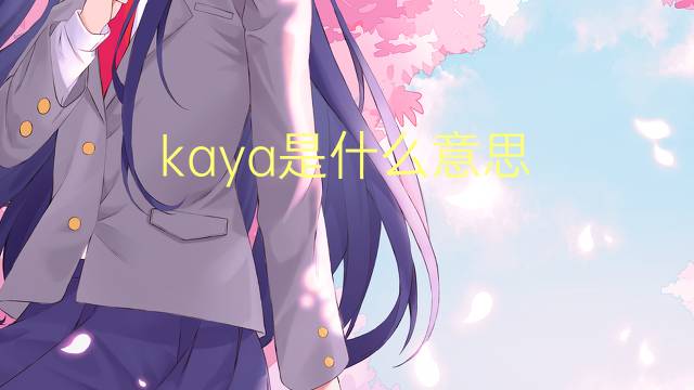kaya是什么意思 kaya的中文翻译、读音、例句
