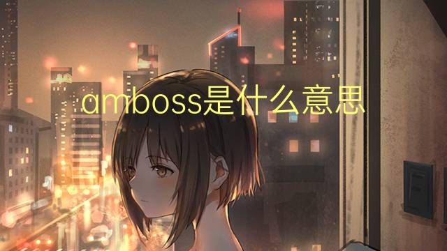 amboss是什么意思 amboss的中文翻译、读音、例句