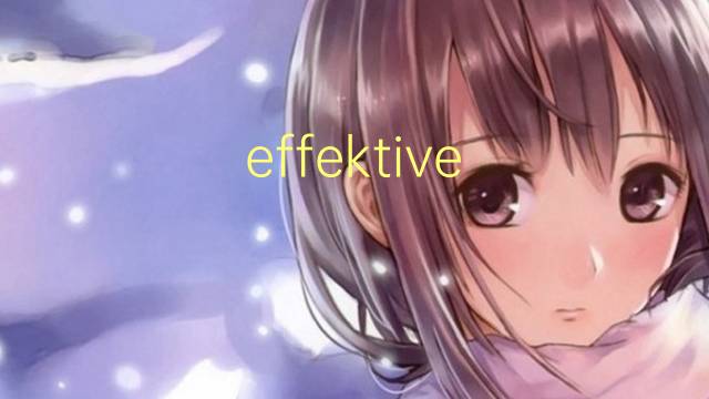 effektive richtlinie是什么意思 effektive richtlinie的中文翻译、读音、例句