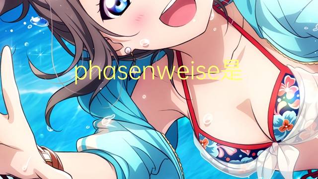phasenweise是什么意思 phasenweise的中文翻译、读音、例句
