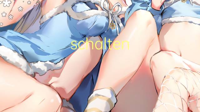 schalten ein是什么意思 schalten ein的中文翻译、读音、例句