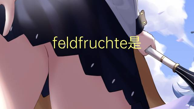 feldfruchte是什么意思 feldfruchte的中文翻译、读音、例句