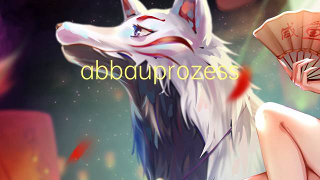 abbauprozess是什么意思 abbauprozess的中文翻译、读音、例句