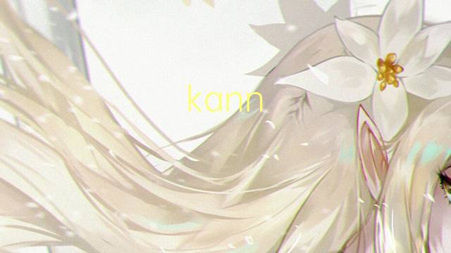 kann nicht ohne是什么意思 kann nicht ohne的中文翻译、读音、例句