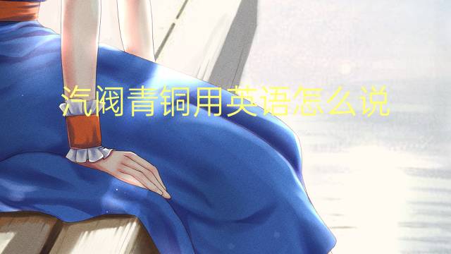 汽阀青铜用英语怎么说 汽阀青铜英语翻译