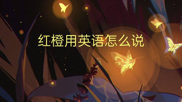 红橙用英语怎么说 红橙的英语翻译
