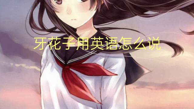 牙花子用英语怎么说 牙花子的英语翻译