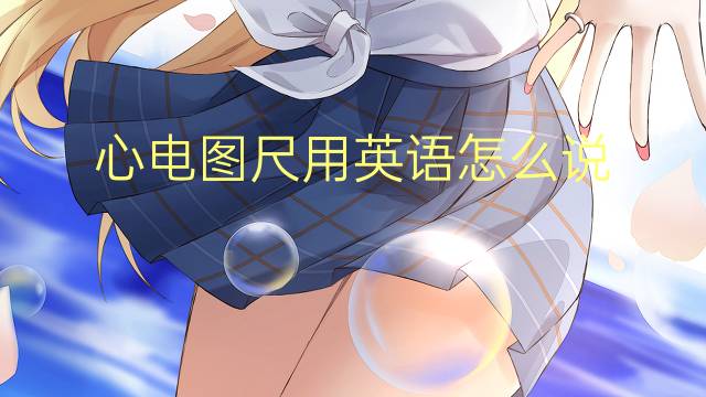 心电图尺用英语怎么说 心电图尺英语翻译