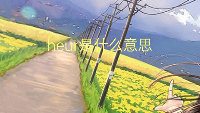 heur是什么意思 heur的读音、翻译、用法