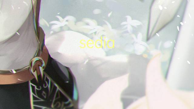 sedia gestatoria是什么意思 sedia gestatoria的读音、翻译、用法