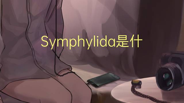 Symphylida是什么意思 Symphylida的读音、翻译、用法