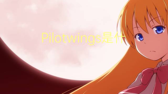 Pilotwings是什么意思 Pilotwings的读音、翻译、用法