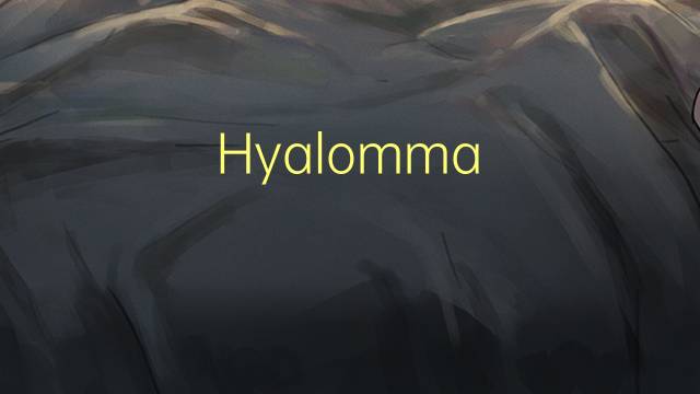 Hyalomma dromedarii是什么意思 Hyalomma dromedarii的读音、翻译、用法