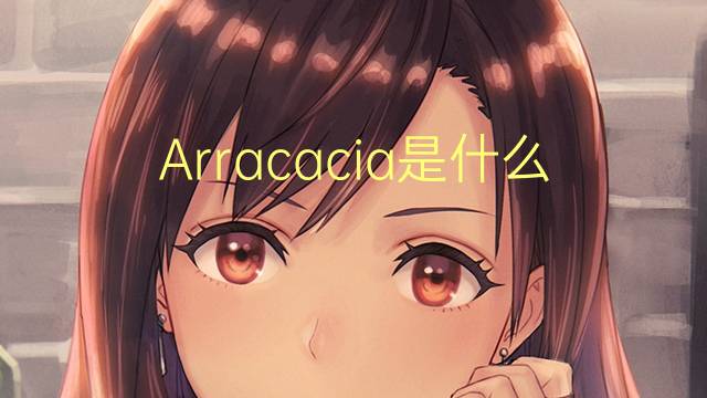 Arracacia是什么意思 Arracacia的读音、翻译、用法