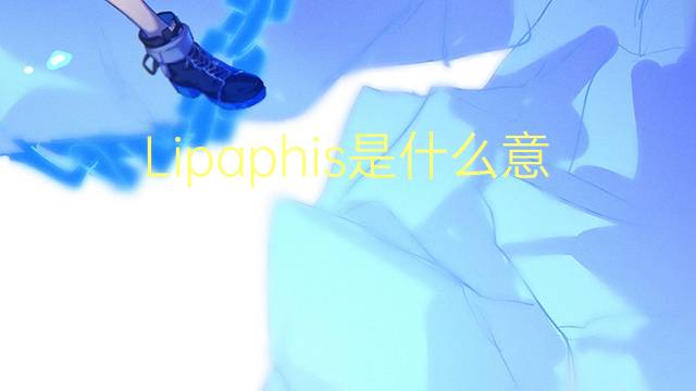 Lipaphis是什么意思 Lipaphis的读音、翻译、用法