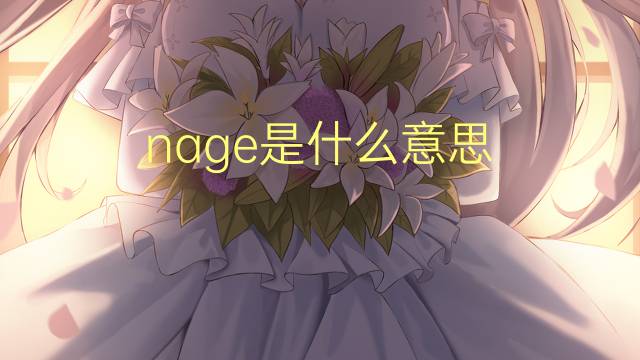 nage是什么意思 nage的读音、翻译、用法