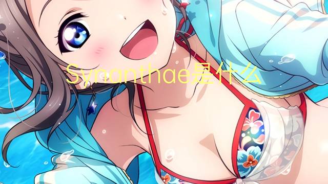 Synanthae是什么意思 Synanthae的读音、翻译、用法
