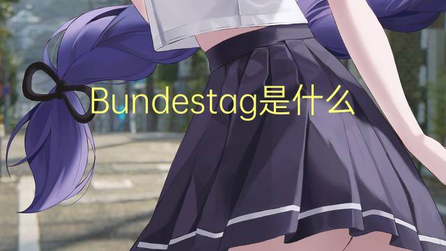 Bundestag是什么意思 Bundestag的读音、翻译、用法