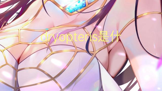 dryopteris是什么意思 dryopteris的读音、翻译、用法