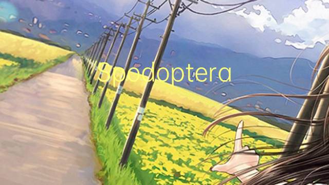 Spodoptera littoralis是什么意思 Spodoptera littoralis的读音、翻译、用法