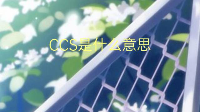 CCS是什么意思 CCS的读音、翻译、用法