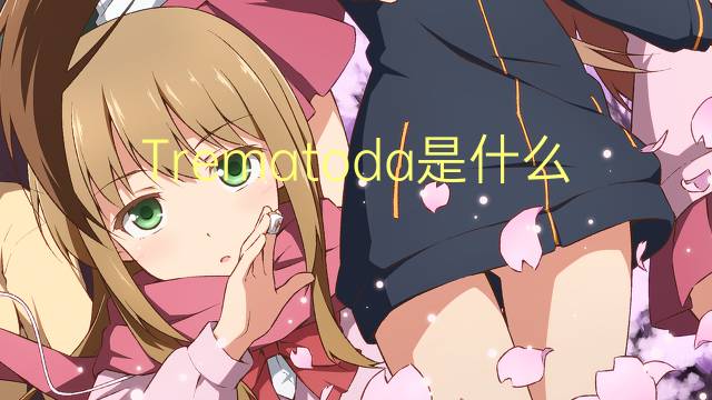 Trematoda是什么意思 Trematoda的读音、翻译、用法