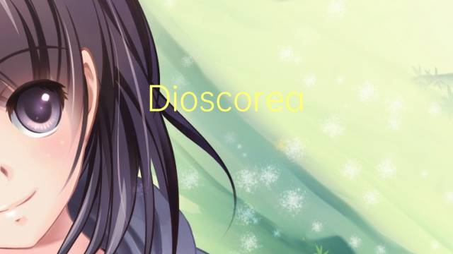 Dioscorea hispida是什么意思 Dioscorea hispida的读音、翻译、用法