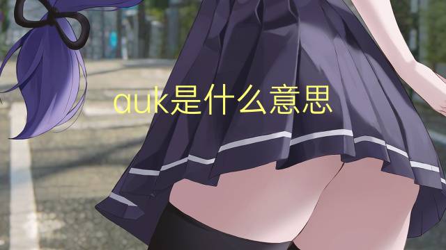 auk是什么意思 auk的读音、翻译、用法