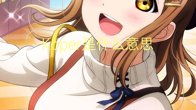 Koper是什么意思 Koper的读音、翻译、用法