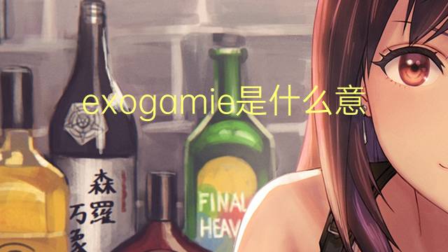 exogamie是什么意思 exogamie的读音、翻译、用法