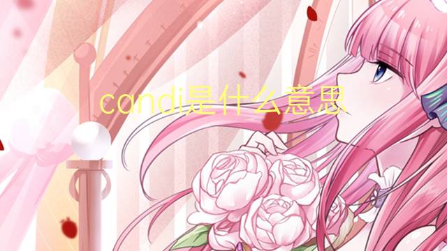 candi是什么意思 candi的读音、翻译、用法