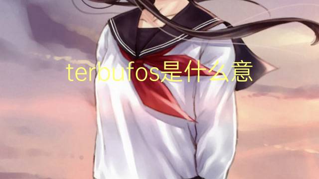 terbufos是什么意思 terbufos的读音、翻译、用法
