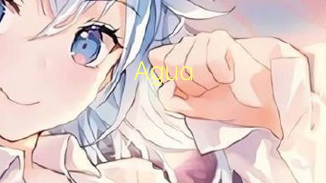 Agua magnetizada是什么意思 Agua magnetizada的读音、翻译、用法