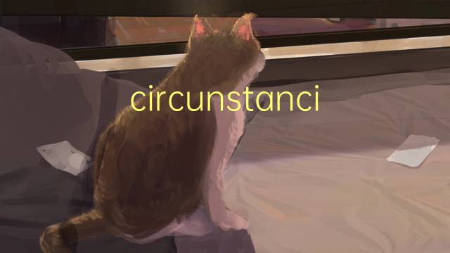 circunstancias是什么意思 circunstancias的读音、翻译、用法