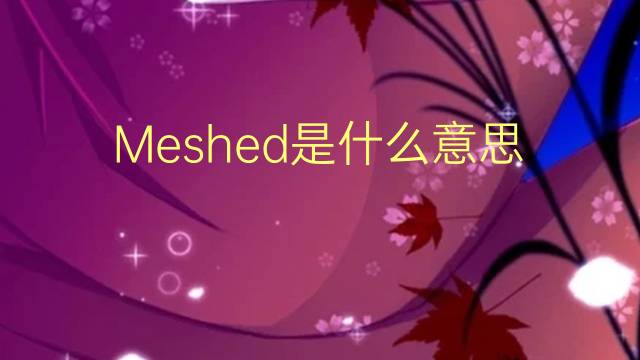 Meshed是什么意思 Meshed的读音、翻译、用法
