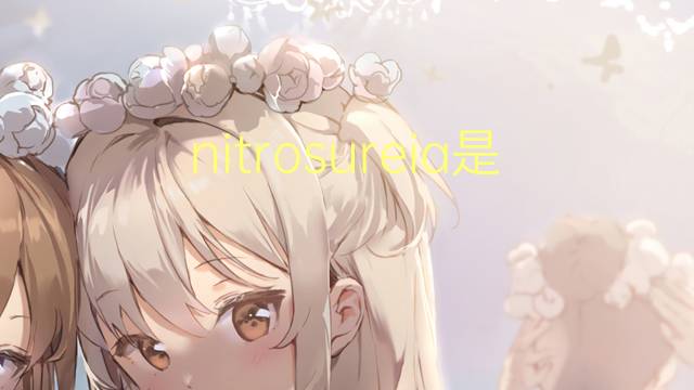 nitrosureia是什么意思 nitrosureia的读音、翻译、用法