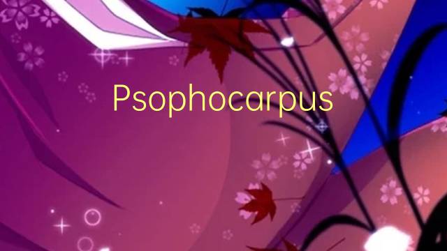 Psophocarpus是什么意思 Psophocarpus的读音、翻译、用法