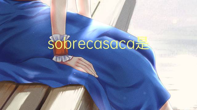 sobrecasaca是什么意思 sobrecasaca的读音、翻译、用法