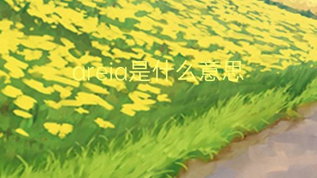 areia是什么意思 areia的读音、翻译、用法