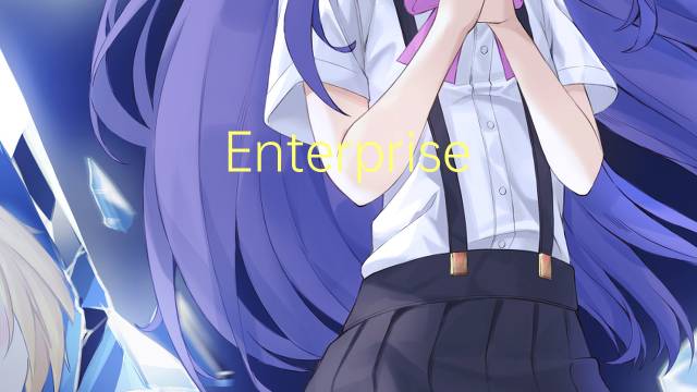 Enterprise Search是什么意思 Enterprise Search的读音、翻译、用法