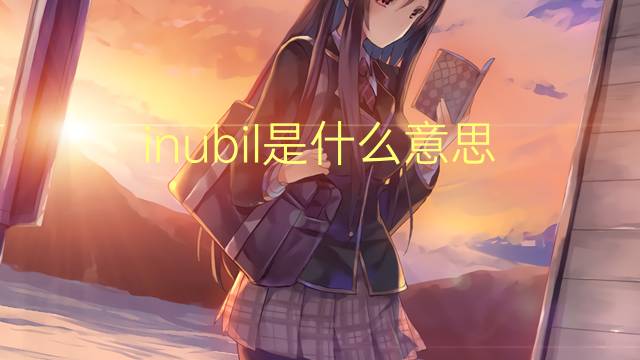 inubil是什么意思 inubil的读音、翻译、用法