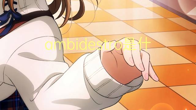 ambidestro是什么意思 ambidestro的读音、翻译、用法