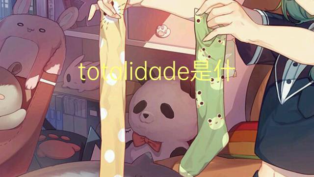 totalidade是什么意思 totalidade的读音、翻译、用法