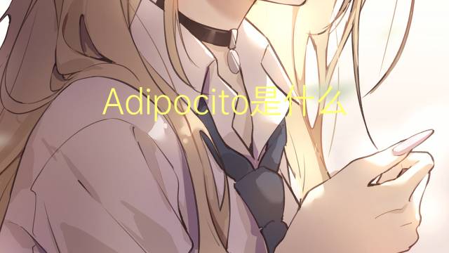 Adipocito是什么意思 Adipocito的读音、翻译、用法