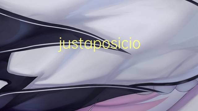 justaposicional是什么意思 justaposicional的读音、翻译、用法