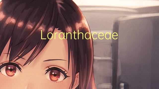 Loranthaceae是什么意思 Loranthaceae的读音、翻译、用法