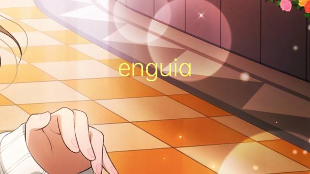 enguia moreia是什么意思 enguia moreia的读音、翻译、用法