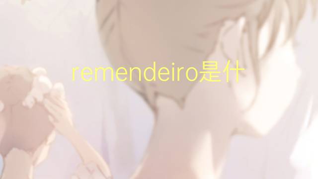 remendeiro是什么意思 remendeiro的读音、翻译、用法