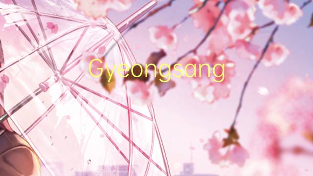 Gyeongsang Norte是什么意思 Gyeongsang Norte的读音、翻译、用法